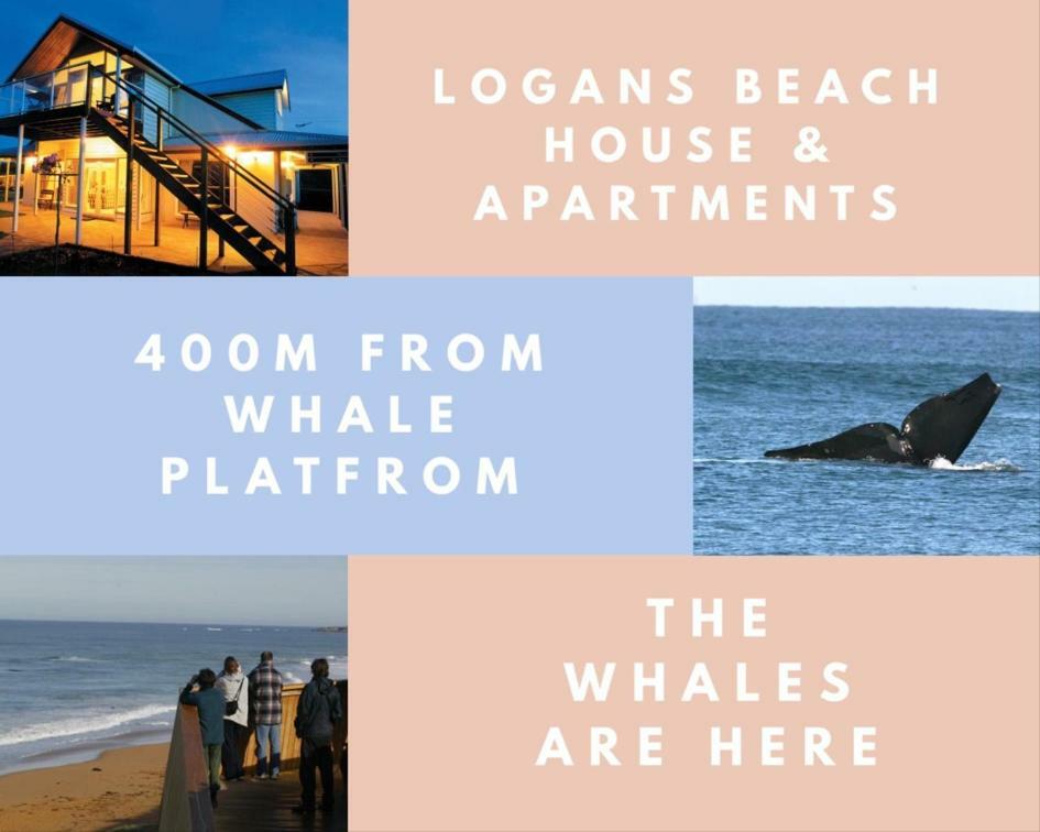 Logans Beach Apartments - The Loft Warrnambool Exteriér fotografie